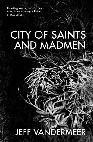 [Ambergris 01] • City of Saints & Madmen